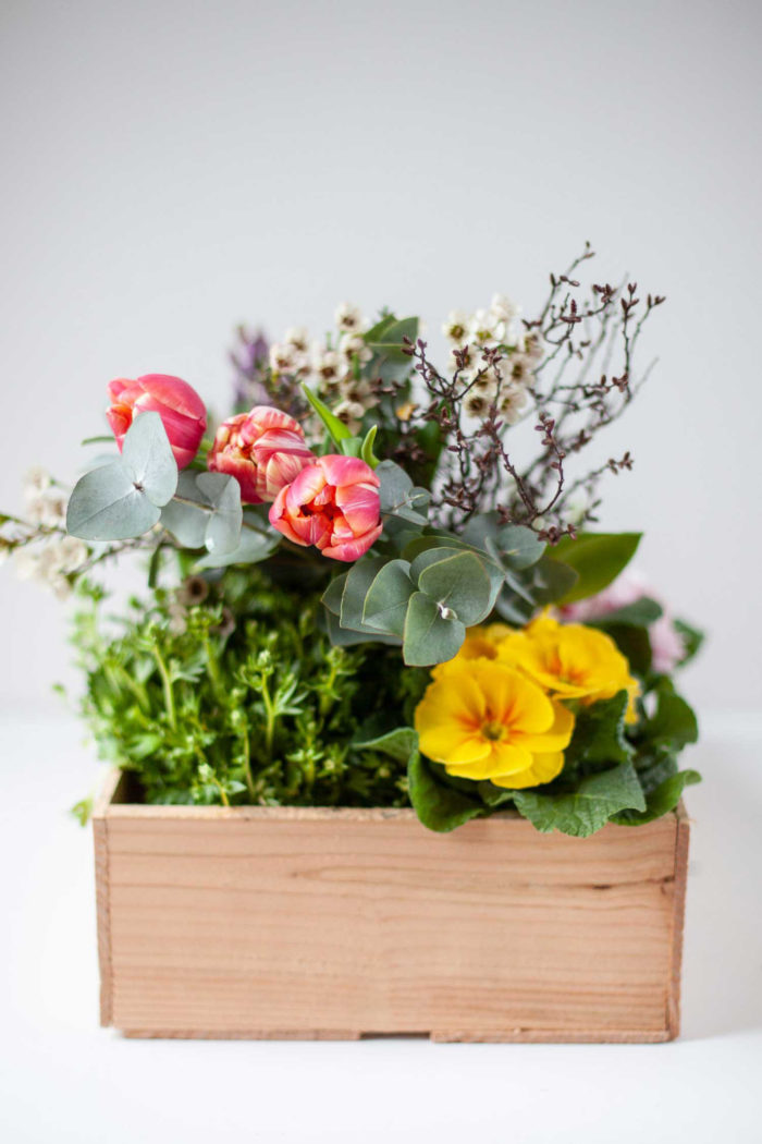 Blumenkiste Zauberblütenkiste saisonal frisch verfügbar Blumenladen Vlotho Exter online bestellen